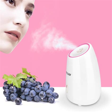 Fruit Facial Steamer Hot Mist Humidifier Deep Cleansing Beauty