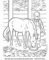 Horse Tegninger Cavalo Heste Caballos Cavalos Tjent Sparet Læs Også sketch template