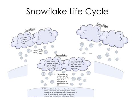 friday freebie snowflake life cycle  moment   world