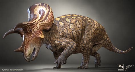 triceratops prorsus saurian  littlebaardo  deviantart