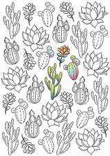 Plant Succulents Savane Colouring Ebooks Kaynak Tshirtcraftsdiy sketch template