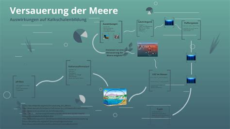 versauerung der meere  raphael nische  prezi