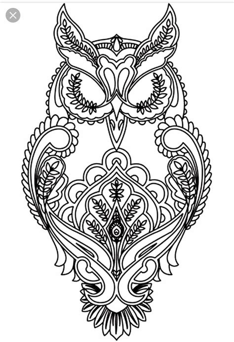 images image  veryepicjewelry owl coloring pages mandala coloring