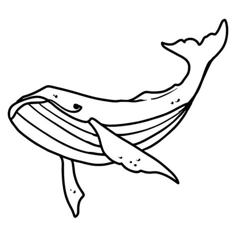 humpback whale coloring page
