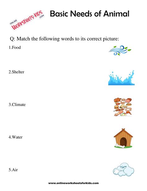 basic   animals worksheet  grade