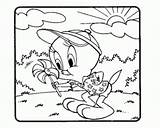 Tweety Coloring Sylvester Pages Kids Print Color sketch template