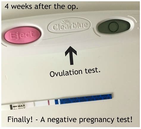 pregnancy test timeline pregnancy test