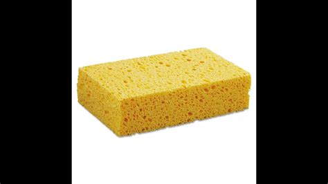 sponge youtube