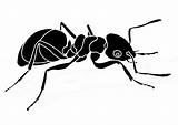 Hormiga Formica Mier Ameise Malvorlage Maur Formigas Ausmalbild Fargelegging Fargelegge Bilde Ausmalen Insect Acessar Educolor Große Scarica sketch template