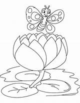 Lily Coloring Pad Water Pages Butterfly Big Kids Printable Getdrawings Getcolorings Color sketch template