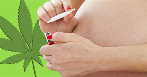 mums smoking weed during pregnancy to beat morning sickness metro news