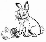 Mitten Coloring Rabbit Jan Brett Pages Kleurplaten Janbrett Konijn Story Boy Little Afkomstig Van Mittens sketch template