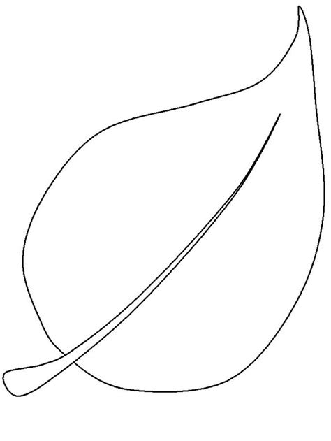 image result  simple leaf clip art leaf coloring page leaf