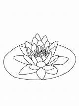 Water Coloring Lily Pages Print Flower Color sketch template