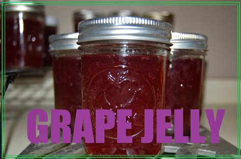 backyard farm    homemade grape jelly