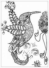 Coloring Pages Animals Adults Animal Printable Bird Complex Abstract Detailed Birds Valentin Print Adult Mandala Sheets Nature Particular Thing Cute sketch template