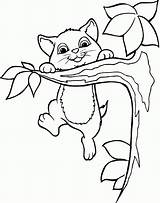 Tree Cat Coloring Pages Clipart Sitting Branch Friends Branches Clip Happy Kids Colouring Climbed Cats Animal Sheets Climbing Clipground Library sketch template