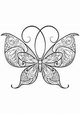 Papillon Insetti Adulti Insectos Motifs Adultos Justcolor Farfalle Insectes Stampare Jolis Joli Superbes Papillons Mariposas sketch template