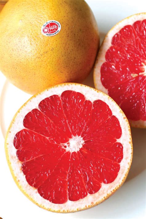 grapefruit season   valley houstonia