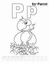 Coloring Parrot Letter Practice Pages Handwriting Alphabet Printable Kids Preschool Pp Colouring Bestcoloringpages Color Library Clipart Popular sketch template