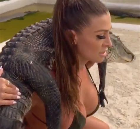 bikini news daily francia james did squats with a live alligator wearing a bikini