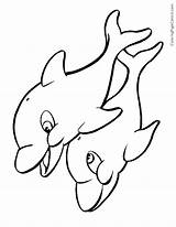 Coloring Pages Baby Dolphins Getcolorings Dolphin sketch template