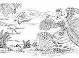 Microraptor Gliding sketch template