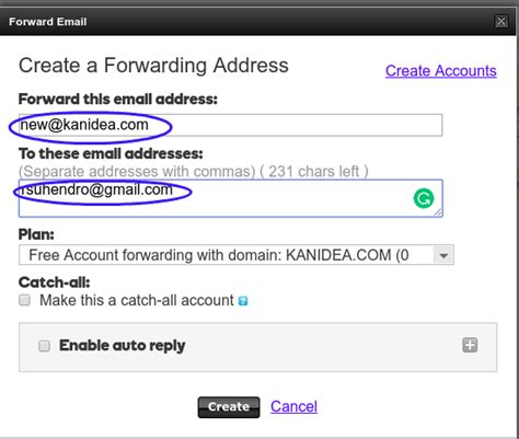 email forwarding  creating  email accounts   domain  hendros workshop