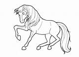 Cimarron Stallion Cavallo Colorare Getcolorings sketch template