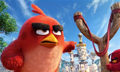 angry birds  hd hd movies  wallpapers images backgrounds