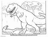 Dinosaur Coloring Pages Kids Printable Rex Color Dinosaurs Trex Print Drawing Colouring Carnotaurus Sheets Triceratops Boys Cartoon Bestcoloringpagesforkids Valentine Raptor sketch template