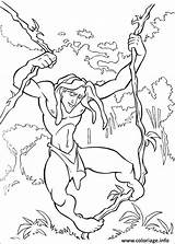 Tarzan Colorir Disegni Ausmalbilder Kolorowanki Colouring Concernant Malvorlagen Skgaleana Greatestcoloringbook Druku sketch template