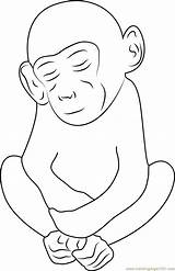 Monkey Sleeping Coloring Pages Coloringpages101 sketch template