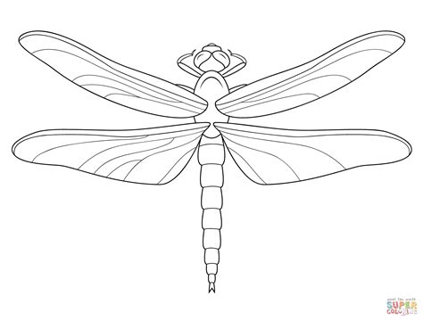 dragonfly coloring page  printable coloring pages