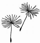 Dandelion Drawing Blowing Clipart Seed Clipartmag Pinnwand Auswählen sketch template