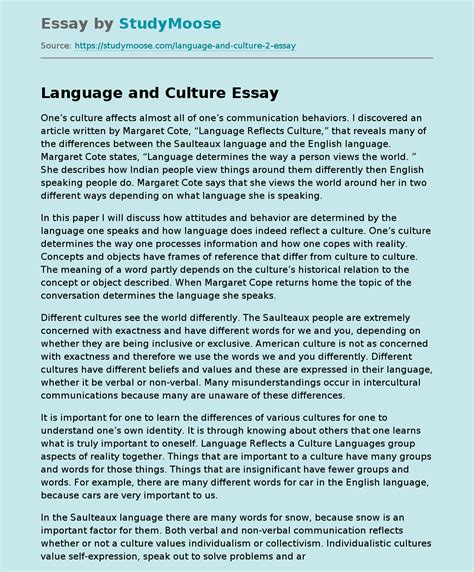 language  culture  reflective analysis  essay