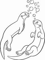 Otter Otters Getdrawings Amphibian Voldemort Ausmalbilder Odder Adult sketch template