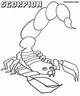 Scorpion Coloring Pages Colorings sketch template