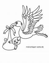 Storch Malvorlage Malvorlagen Ooievaar Geburt Stork Kleurplaat Kleurplaten sketch template