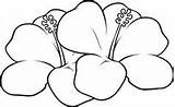 Coloring Pages Flower Flowers Drawings Samoan Drawing Hawaiian Tropical Color Draw Rose Patterns Roses sketch template