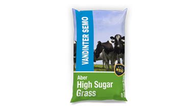 abergain high sugar grass mengsel pure graze