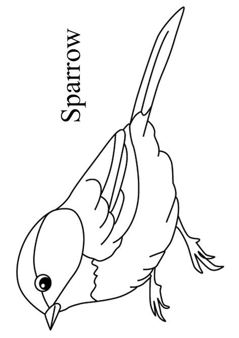 top  bird coloring pages  toddler  love  color bird