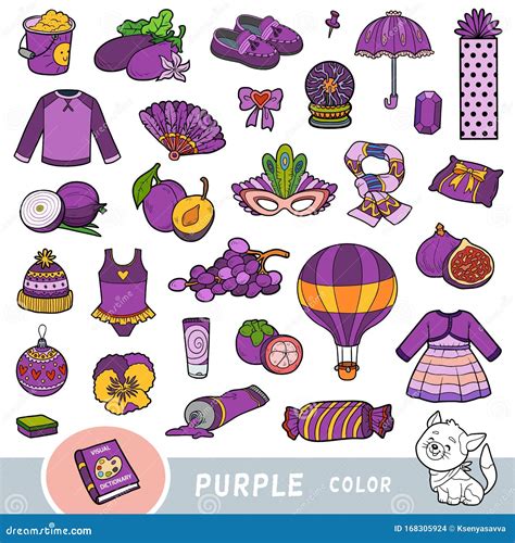 colorful set  purple color objects visual dictionary  children