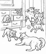 Coloring Pages Hotel Dog Dogs Newfoundland Playtime Color Puppy Print Getdrawings Drawing Printable Getcolorings Hellokids sketch template