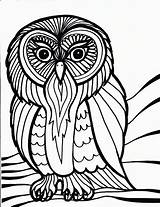 Owl Coloring Pages Printable Horned sketch template