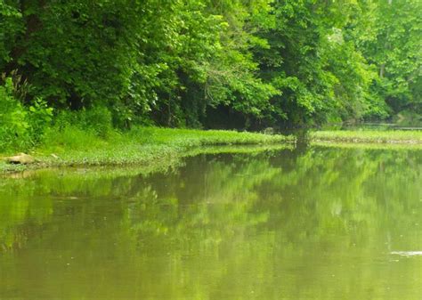 life  ten mile creek  pennsylvania washington  green county green county country