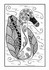 Coloring Duck Pages Zentangle Adult Delicate Colouring Detailed Printable Pond Books Book Intricate Detail Sheets sketch template
