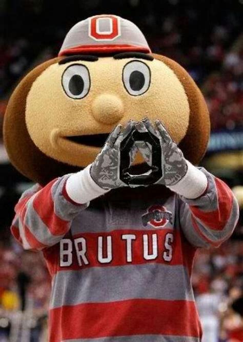 Brutus The Buckeye Sports Teams Pinterest