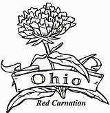 Ohio Coloring State Pages Brutus Buckeye Drawing Band Flower Carnation Buckeyes Football Michigan Bow Pennsylvania Mistletoe Majorette Mariachi Christmas Color sketch template
