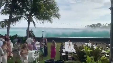 dumpert fijne bruiloft op hawaii